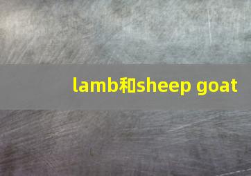 lamb和sheep goat